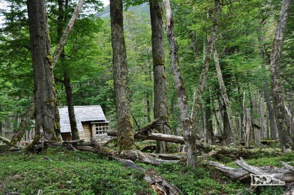 No meio do bosque, o refúgio Puesto Rivera, na trilha para o Glaciar do Rio Mosco, na região de Villa O'Higgins, no sul do Chile